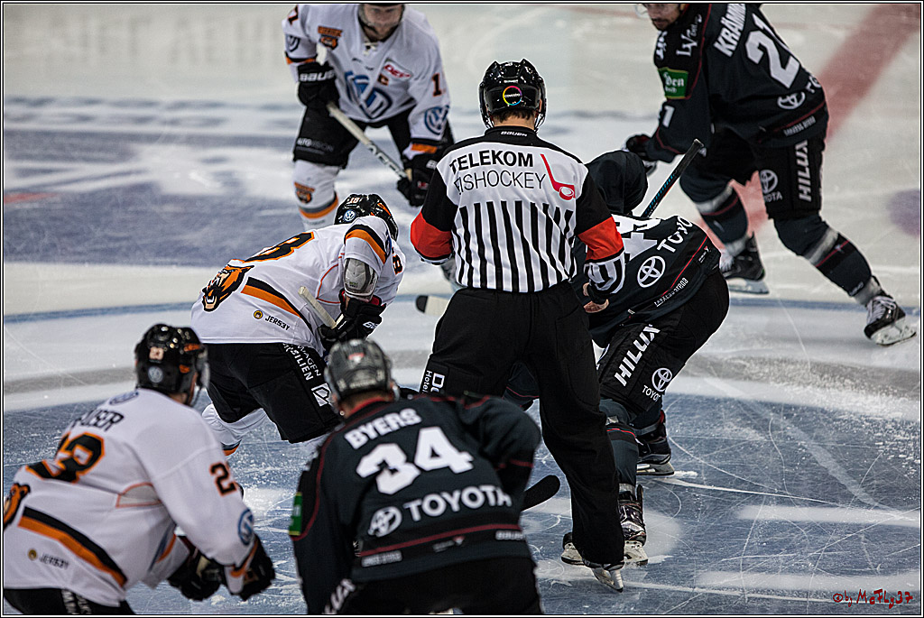 DEL, Koelner Haie - Grizzlys Wolfsburg, 21.02.2017